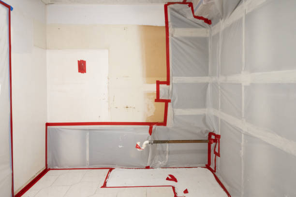Best HVAC Mold Inspection and Cleaning  in Judson, SC