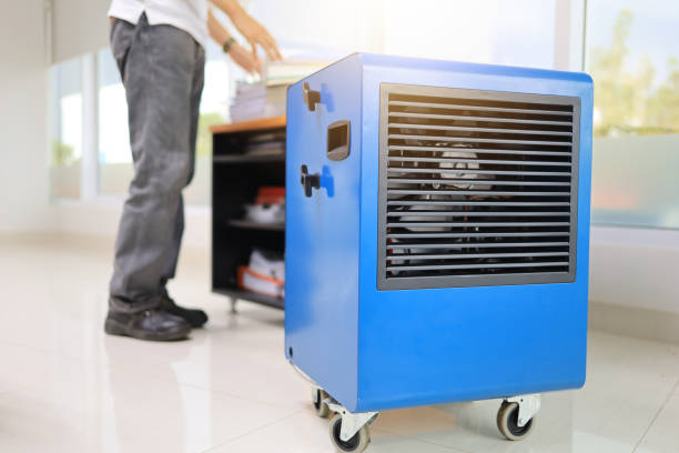 Best Comprehensive Air Testing for Mold Contaminants  in Judson, SC