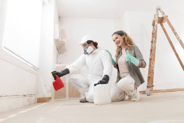 Best Commercial Mold Inspection  in Judson, SC